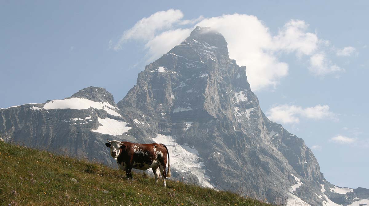 im schatten des matterhorns zu fuss
